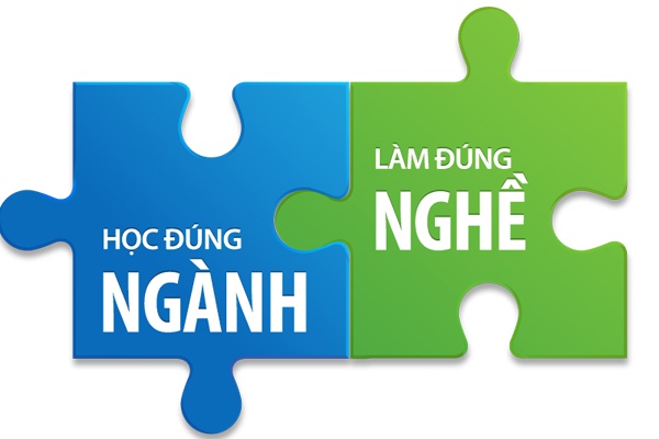 Báo cáo số liệu việc làm 2021